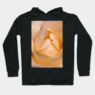 Rising To Joy Hoodie